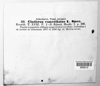 Image Associated With the Occurrence